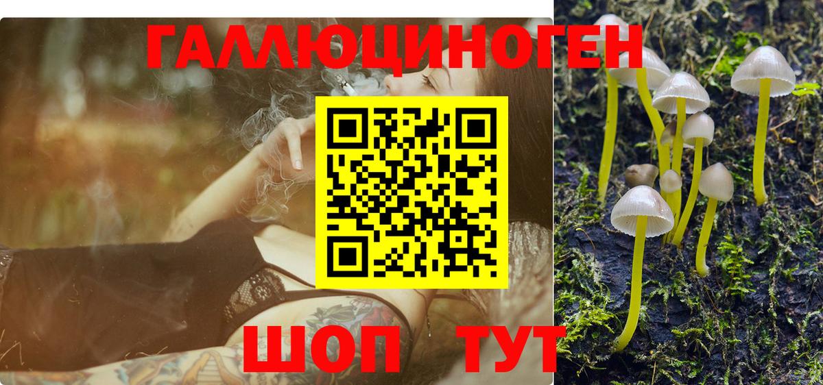 Галлюциногенные грибы прущие грибы Кудрово